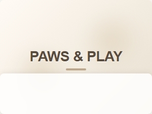 Bold and Readable Fonts for Pet Shop Marketing